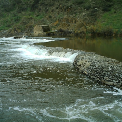 The fish love this Guardiana weir as much as the anglers! The fish love this Guardiana weir as much as the anglers!